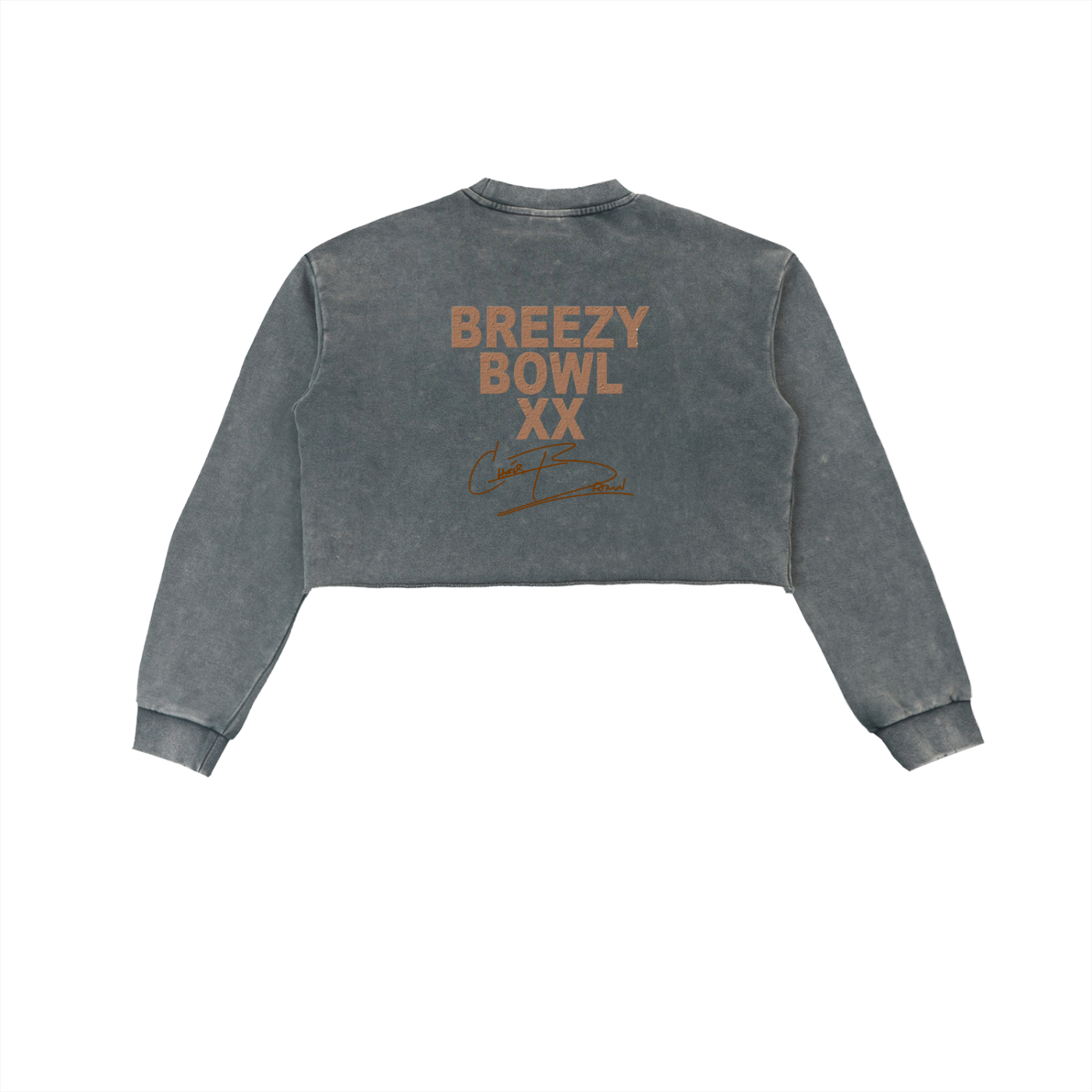 Snow Washed Raw Edge Cropped Sweatshirt