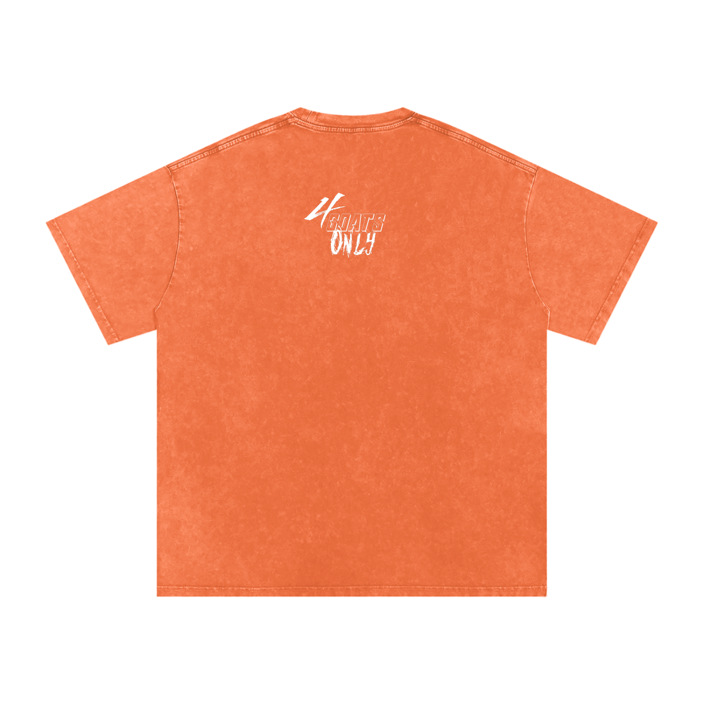 Diana Ross Oversized Cotton Tee