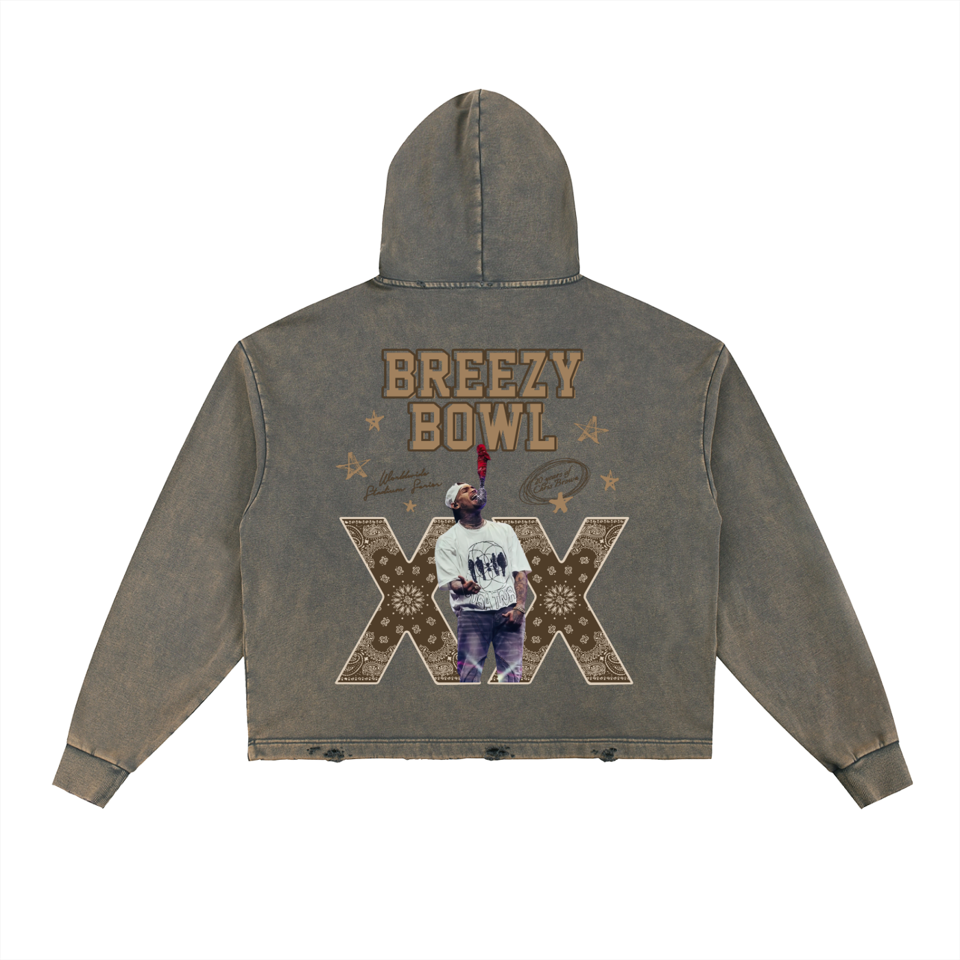 BreezyBowl,Chris Brown